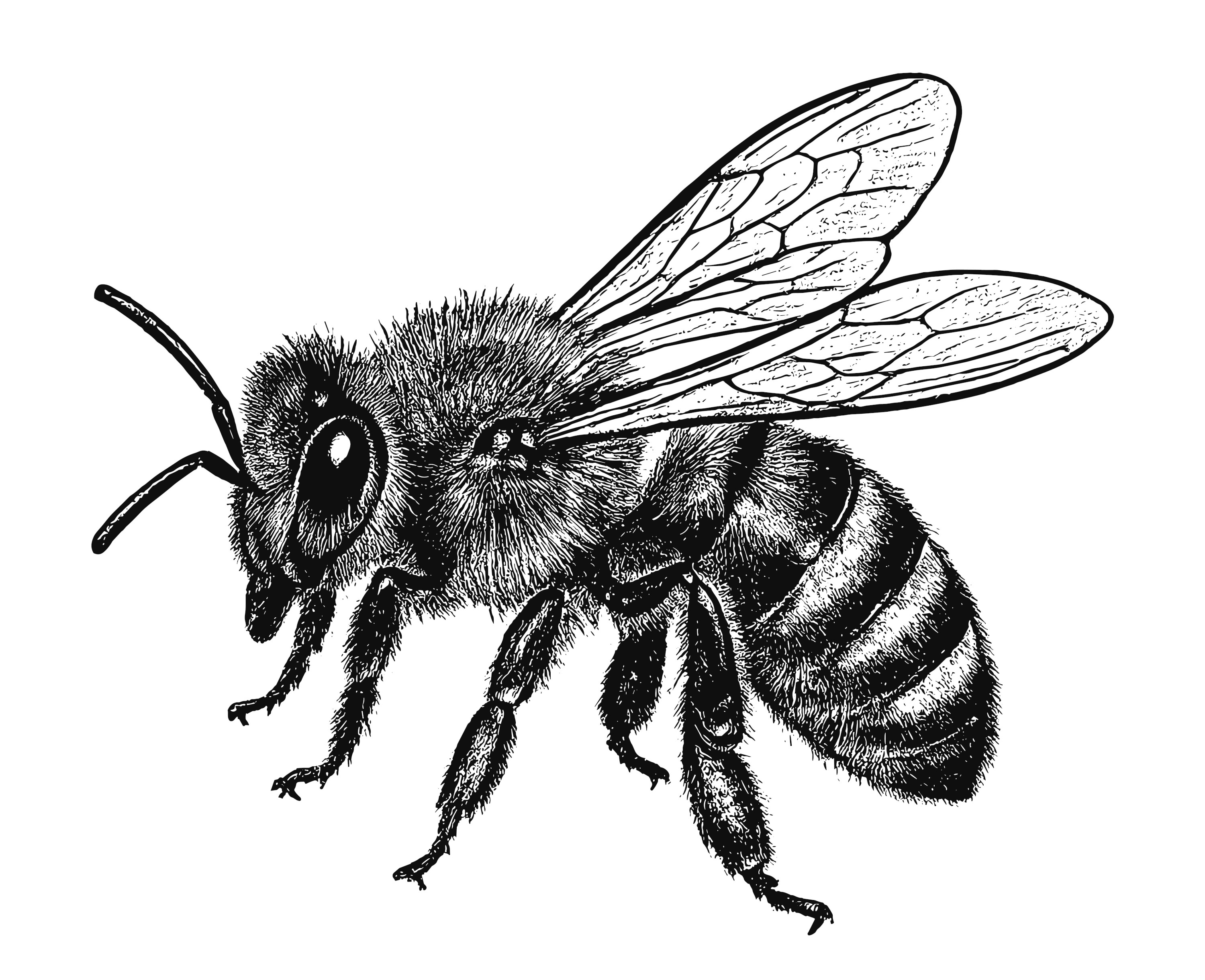 image from Productivity Review: Asana