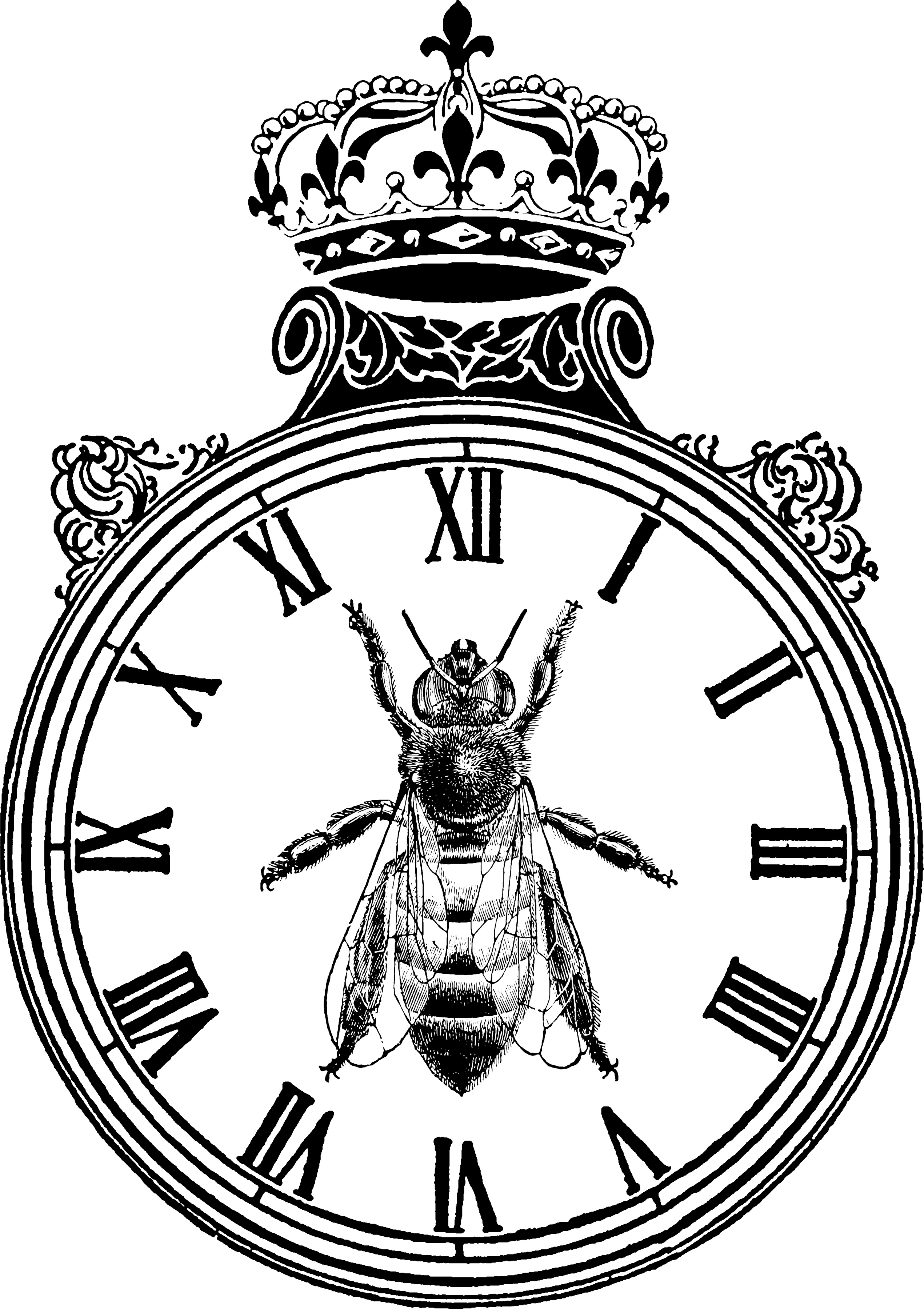 image from The Madness of 2020