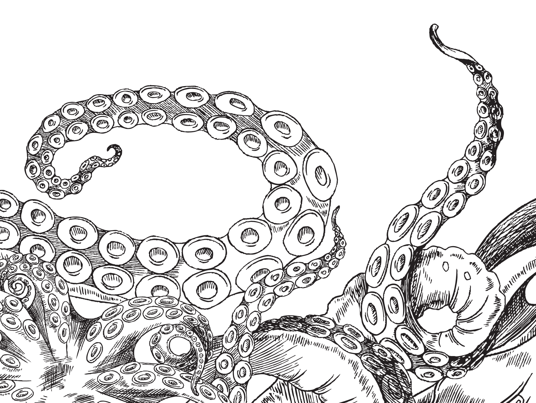 image from Check a Domain Name for SSL Problems