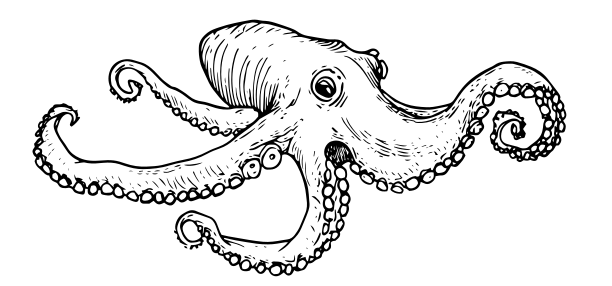 image from GoAccess Bulk Script